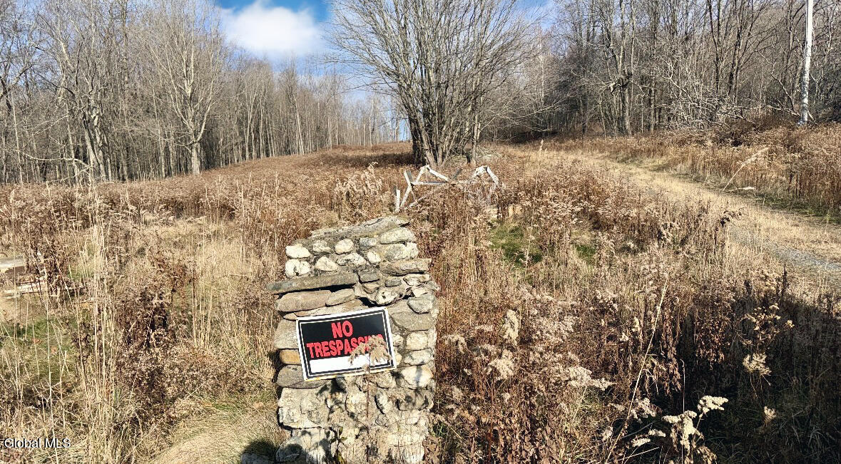 221 Babcok Lake Road Petersburgh NY 12138