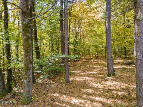 7143 Antioch Road Middle Grove NY 12850