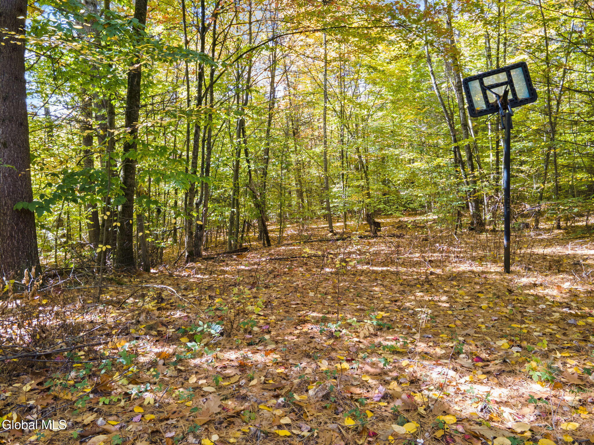 7143 Antioch Road Middle Grove NY 12850