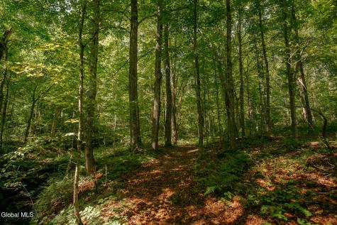 1973 County Route 153 Salem NY 12865