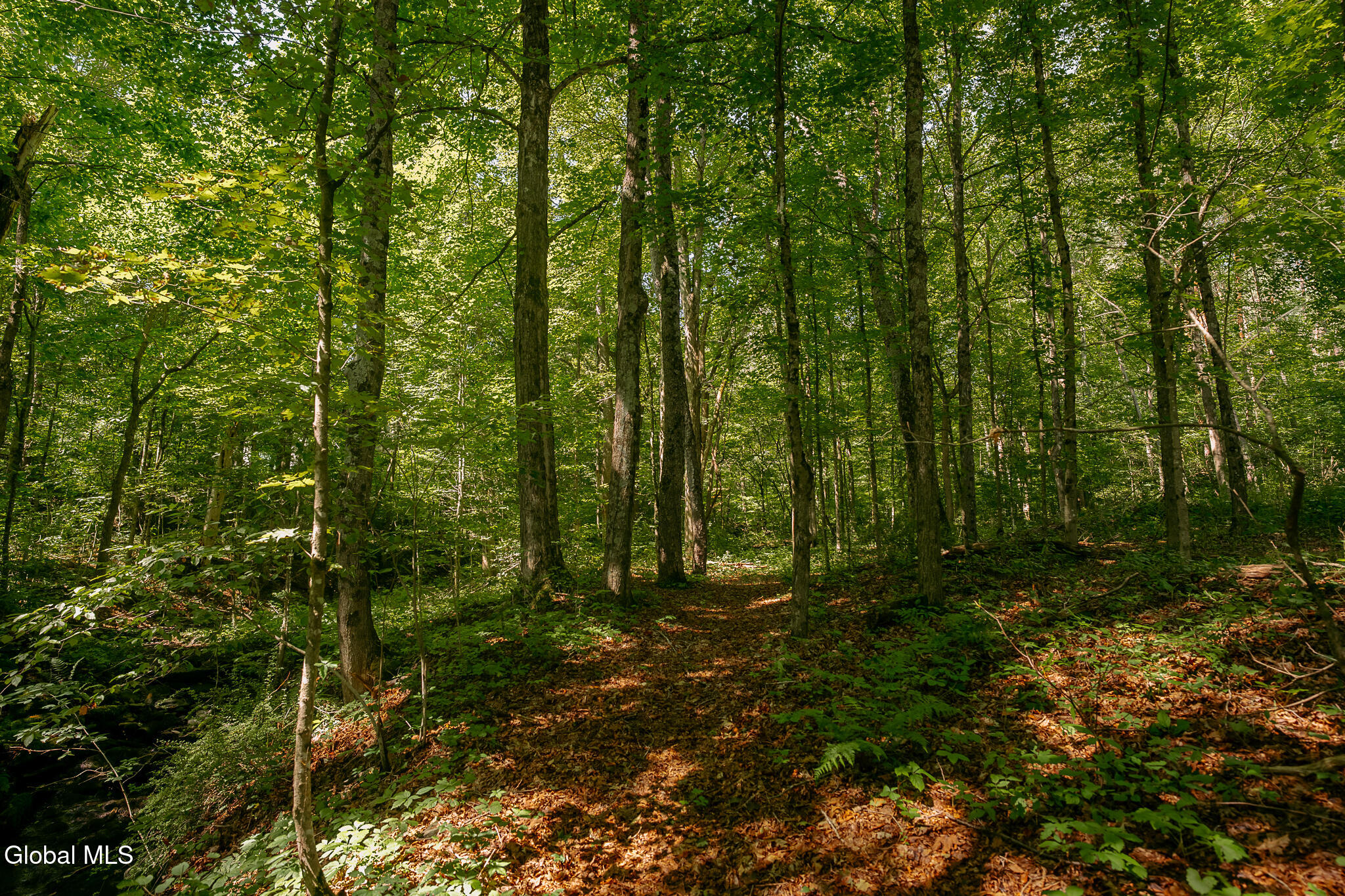 1973 County Route 153 Salem NY 12865
