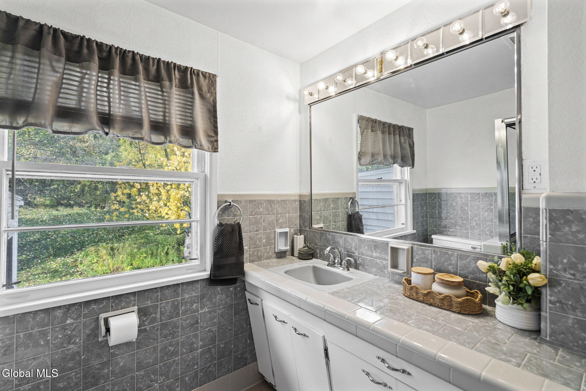 18 Campus View Drive Loudonville NY 12211