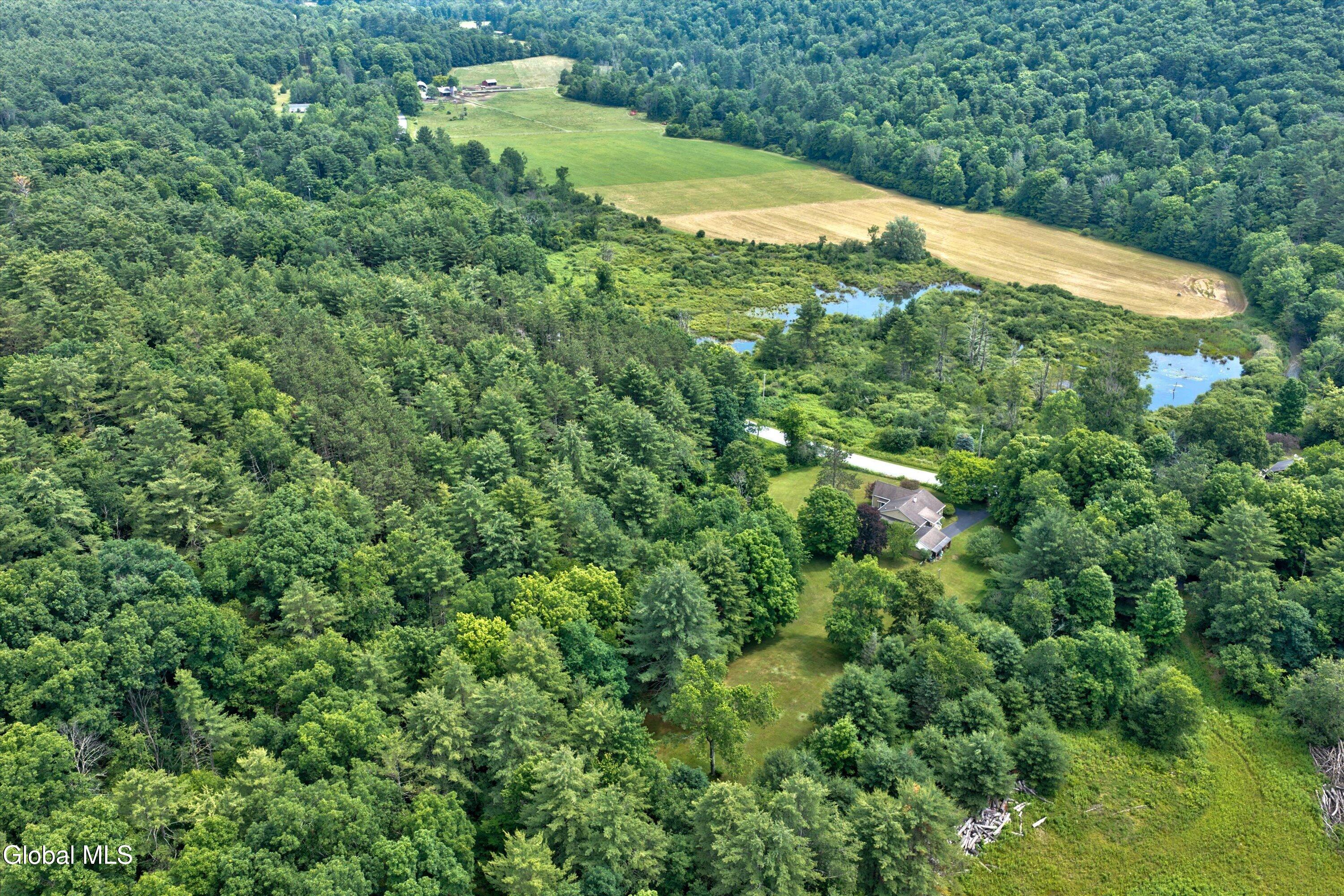 129 Camden Valley Road Shushan NY 12873
