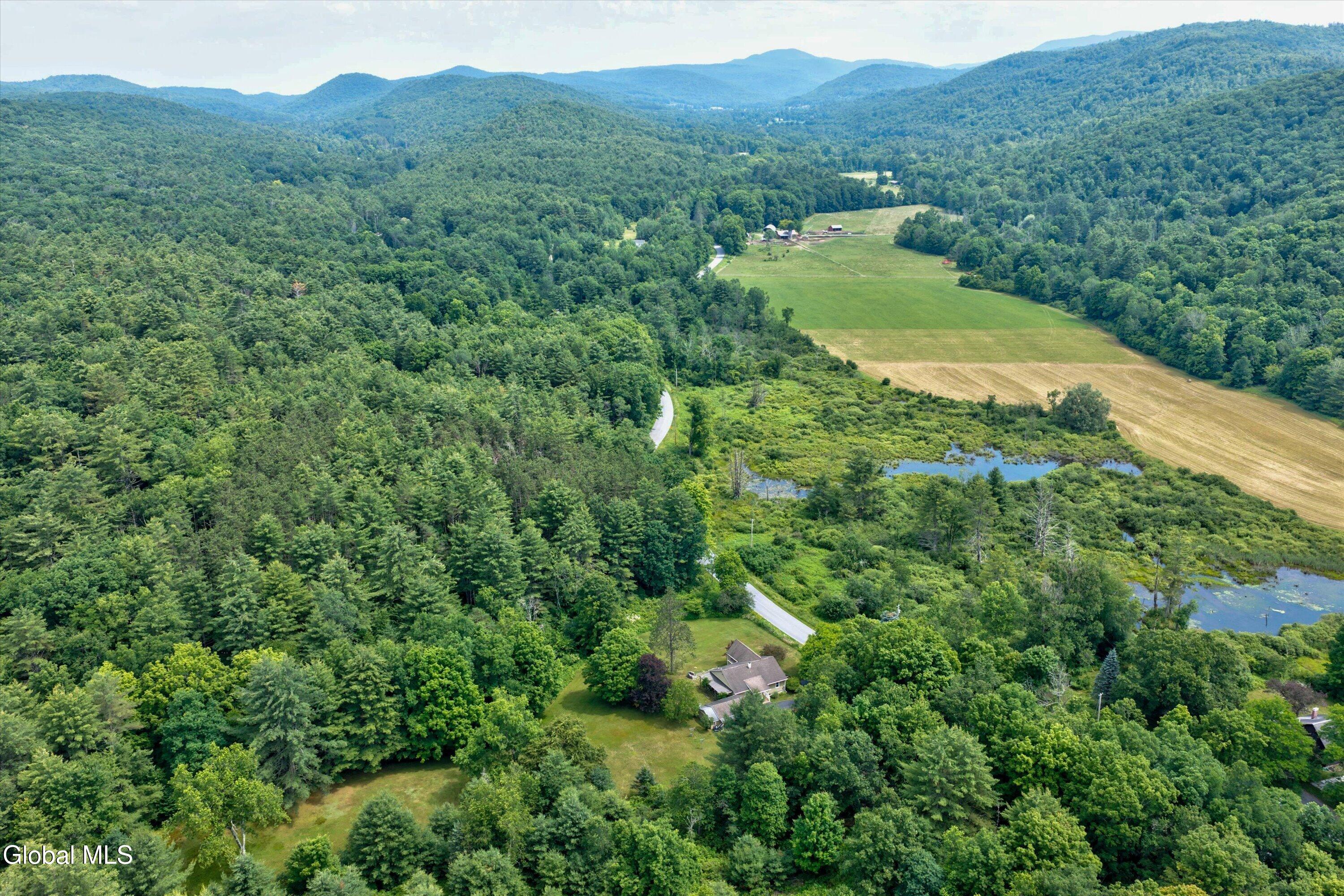 129 Camden Valley Road Shushan NY 12873