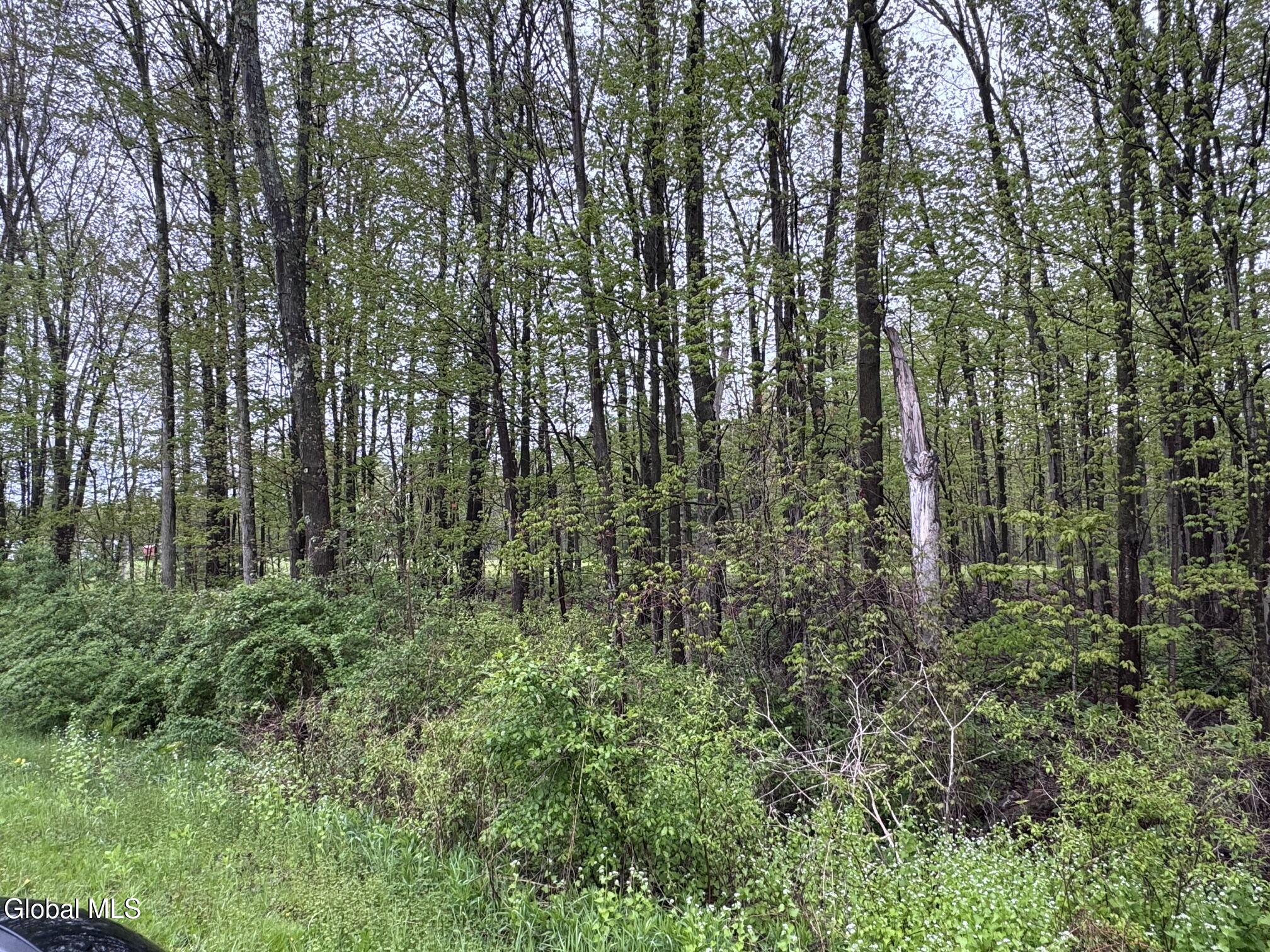 12 County Route 71 Cambridge NY 12816