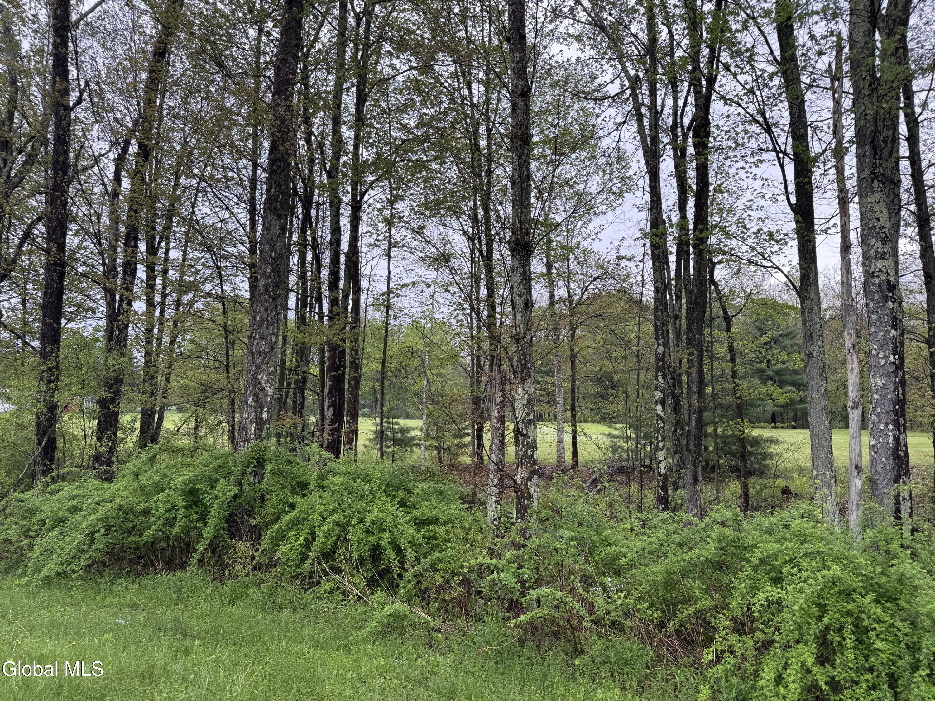 12 County Route 71 Cambridge NY 12816
