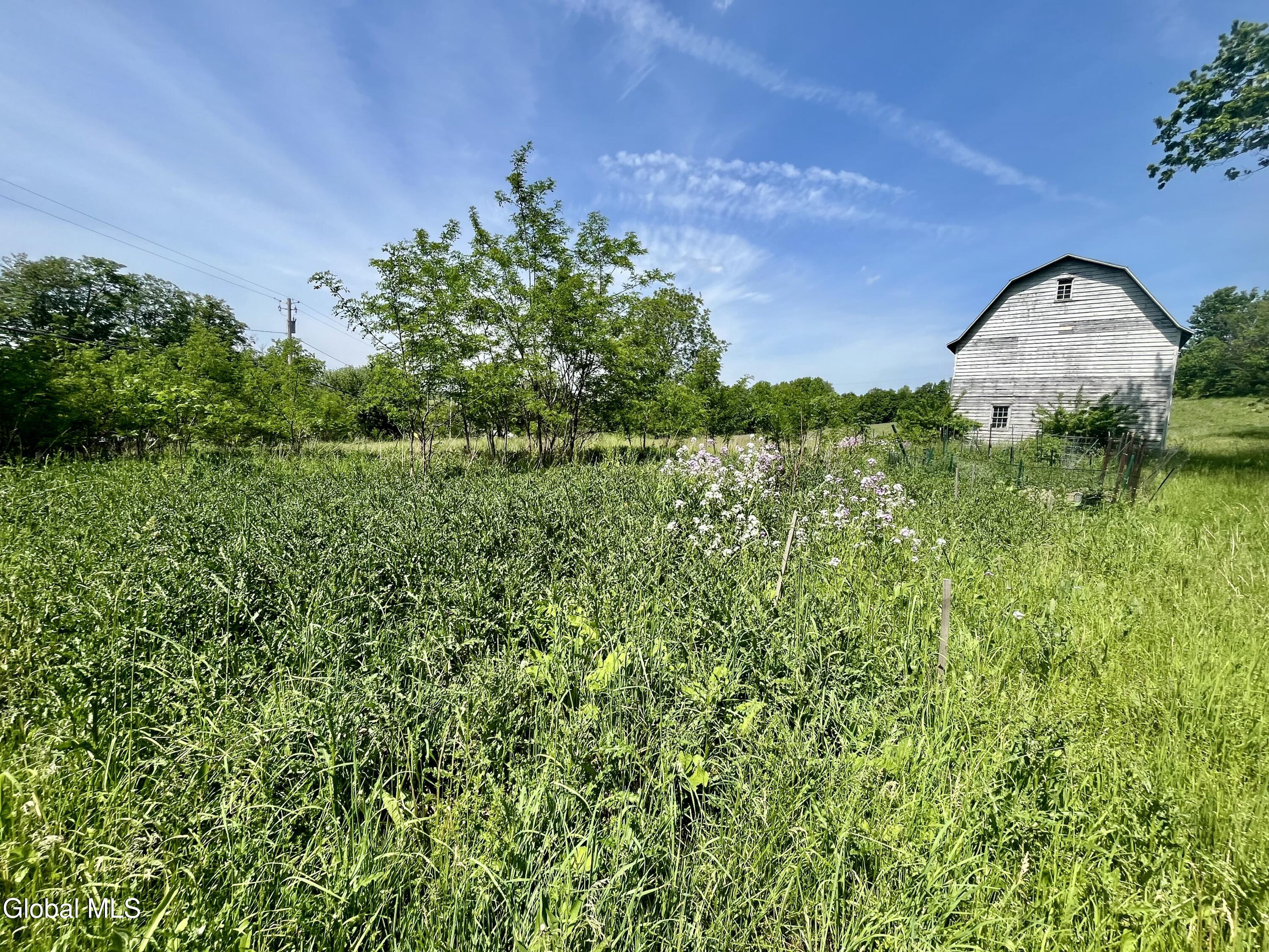 6328 State Highway 10 Cobleskill NY 12043