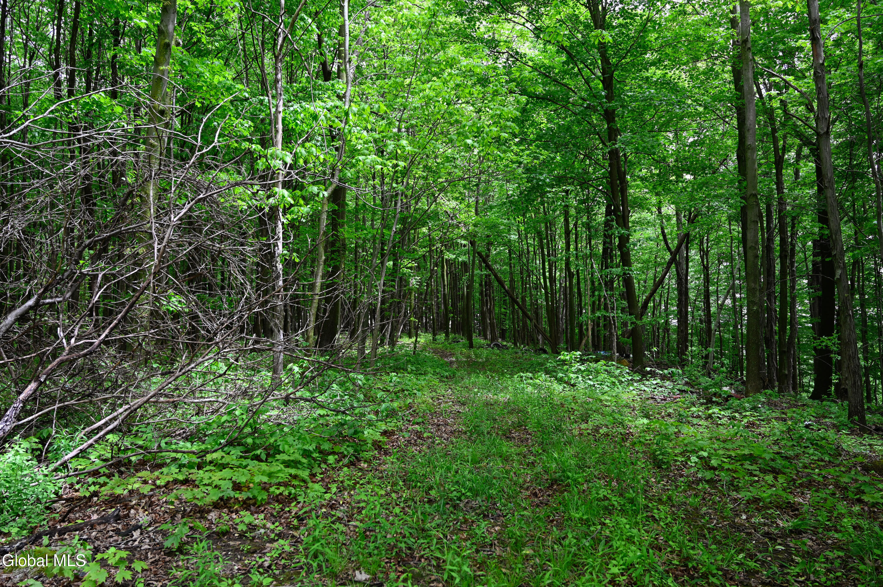 144 Maple Bush Road Cobleskill NY 12043
