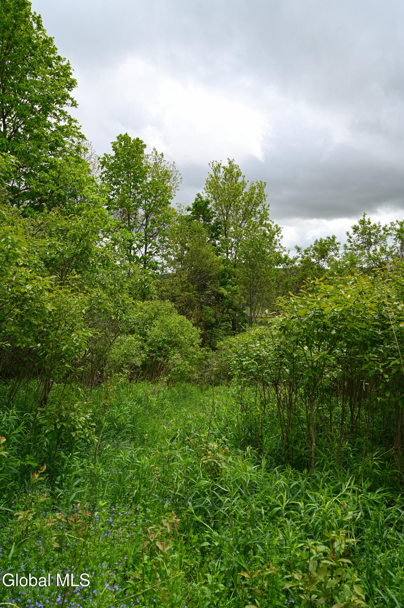 144 Maple Bush Road Cobleskill NY 12043