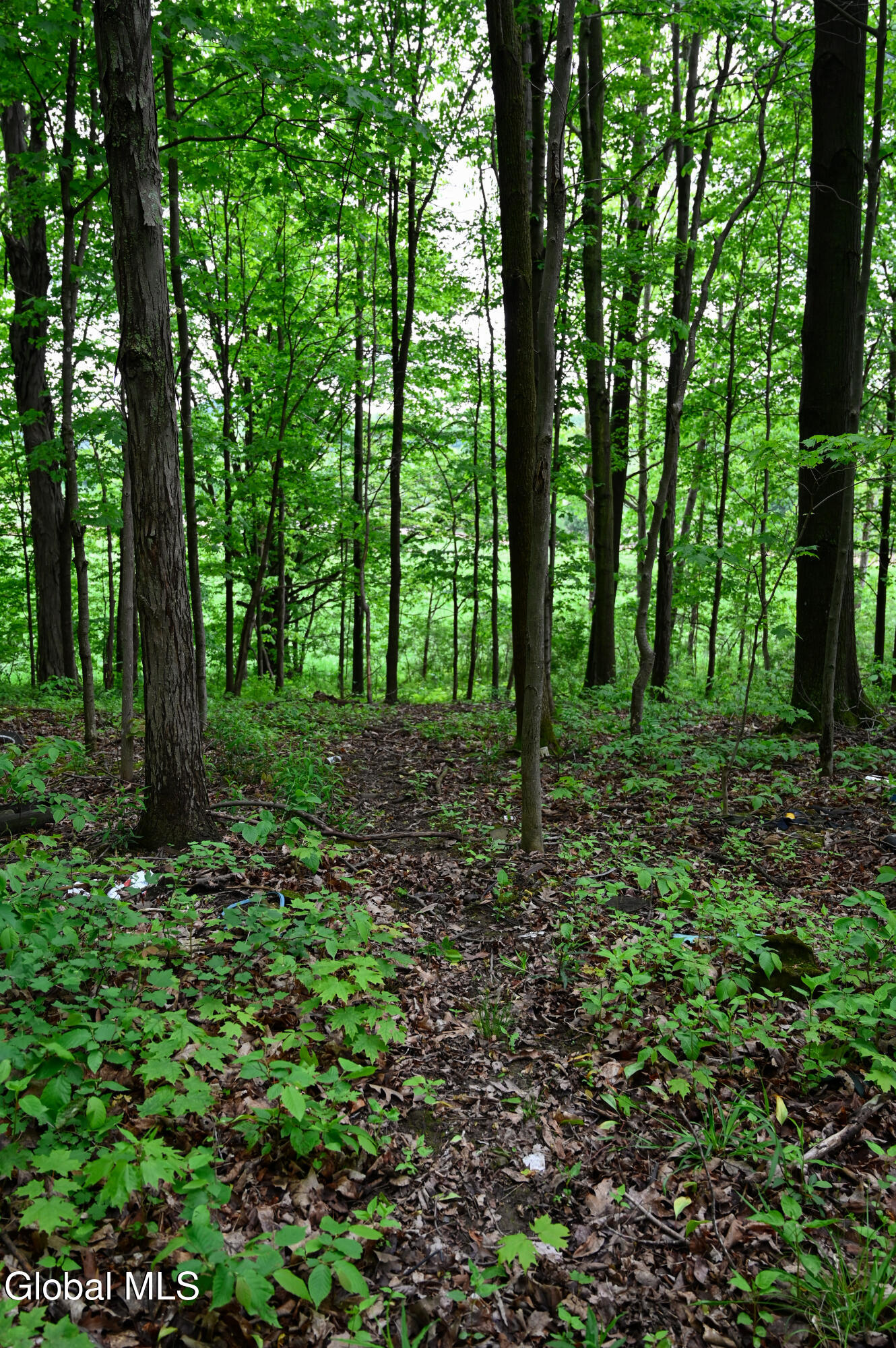 144 Maple Bush Road Cobleskill NY 12043