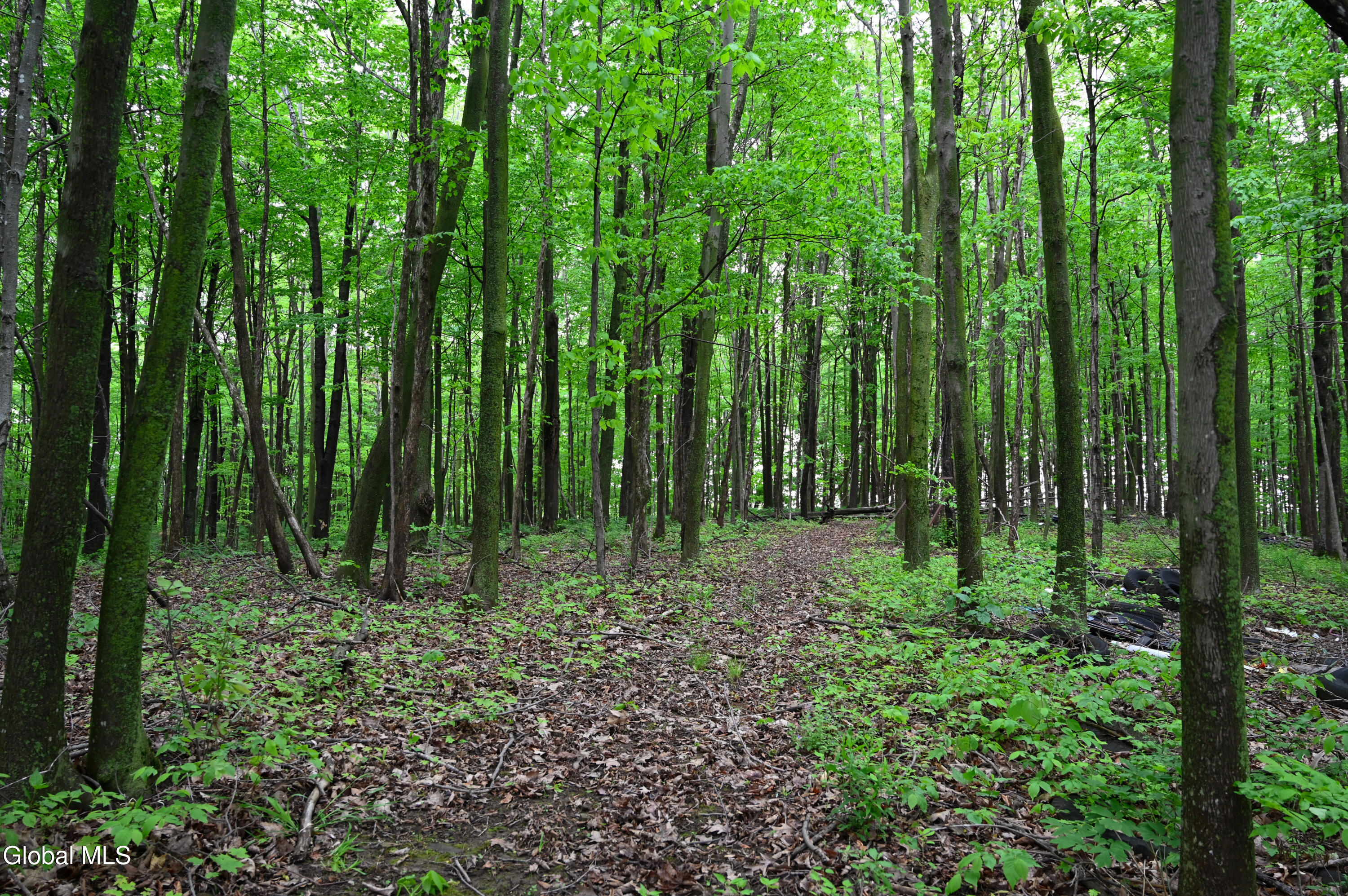 144 Maple Bush Road Cobleskill NY 12043