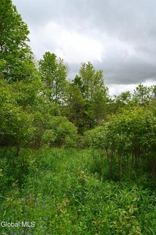 144 Maple Bush Road Cobleskill NY 12043