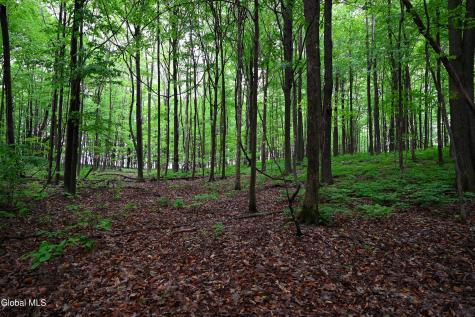 144 Maple Bush Road Cobleskill NY 12043