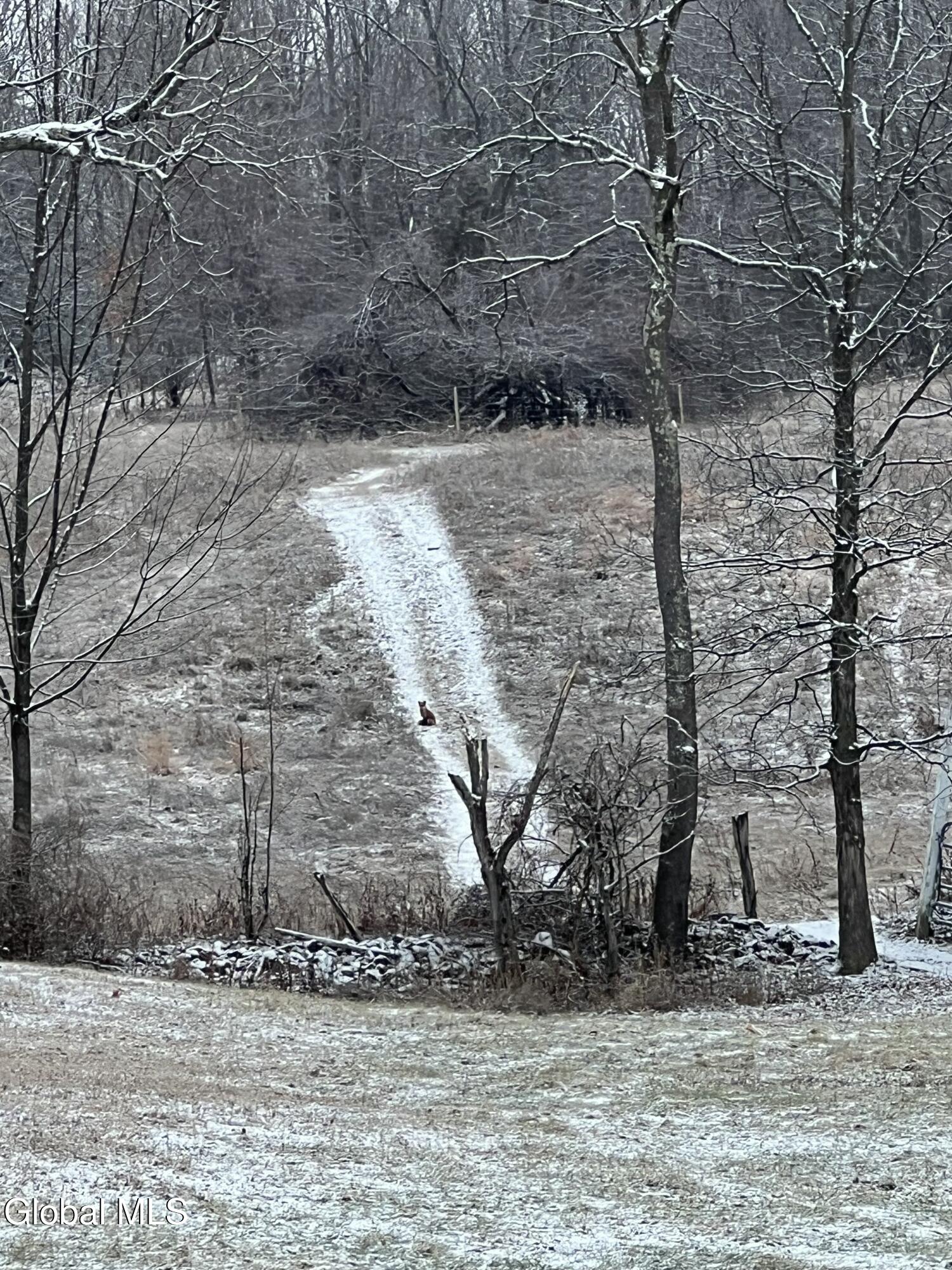31 Safford Road Argyle NY 12809