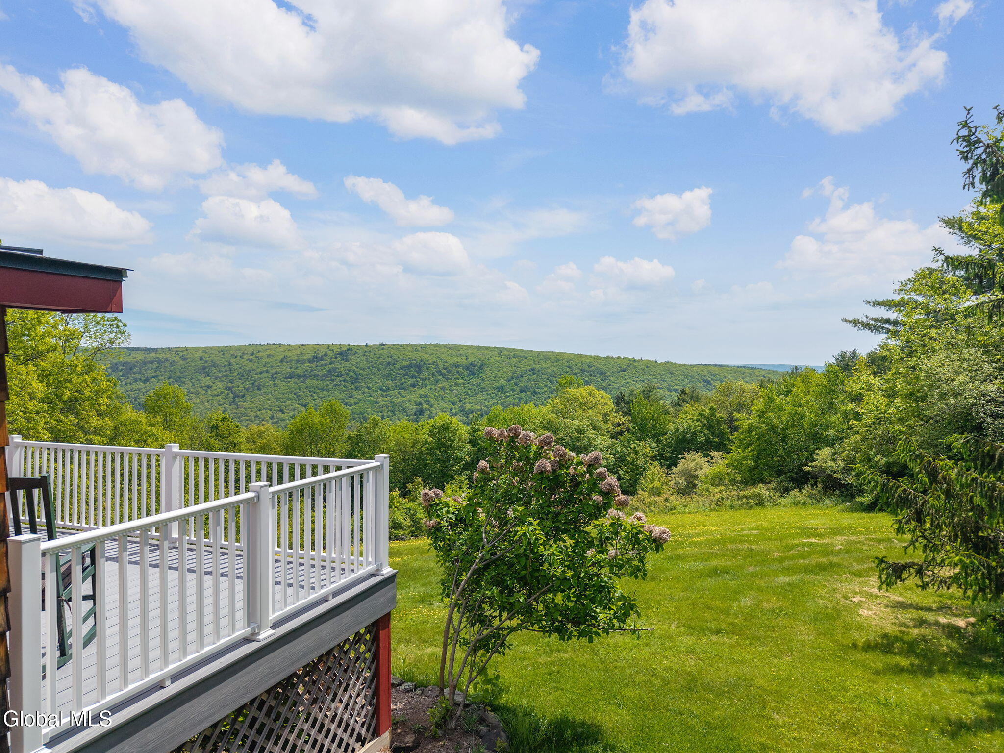 166 Lynx Drive West Fulton NY 12149