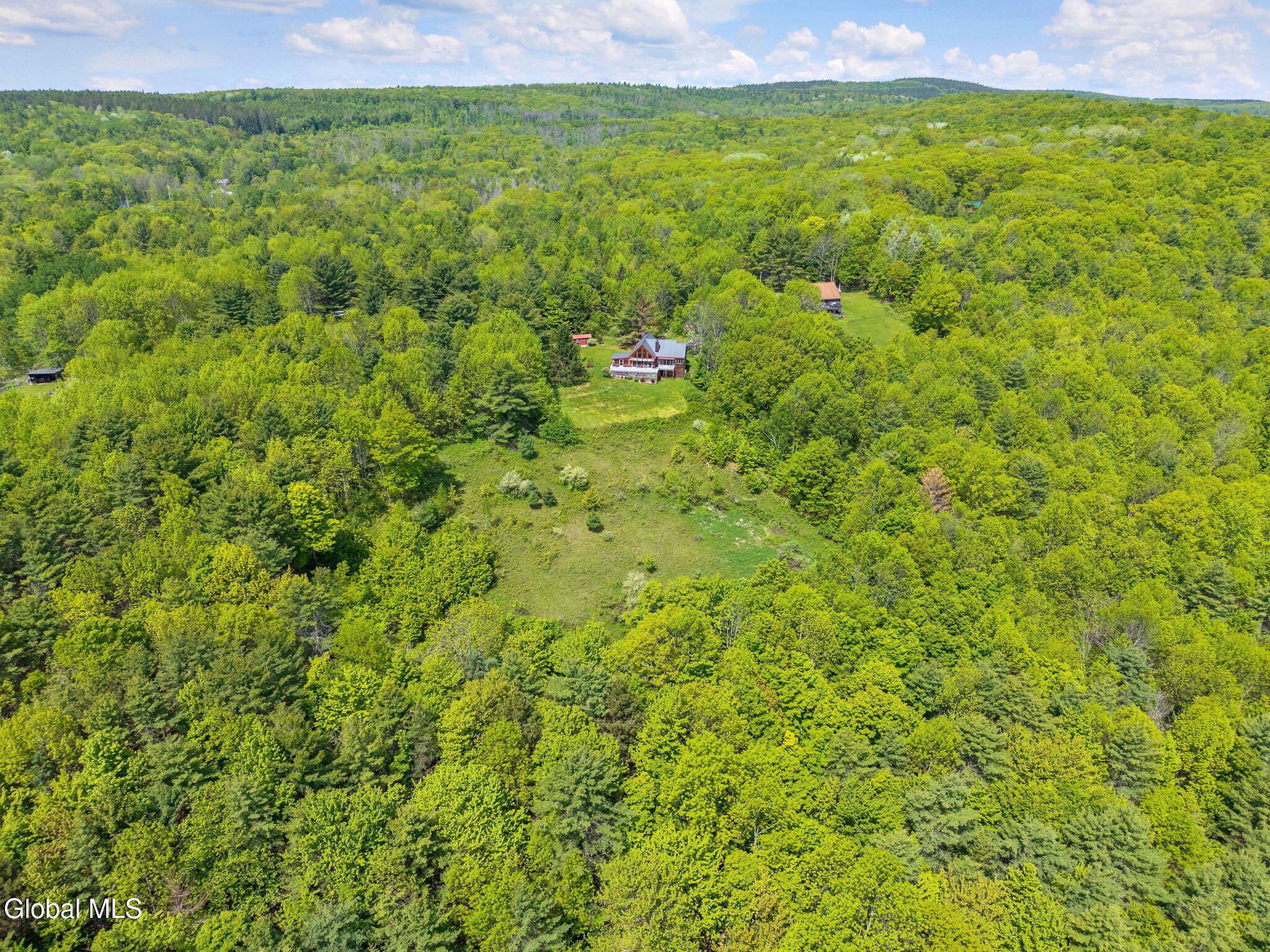166 Lynx Drive West Fulton NY 12149