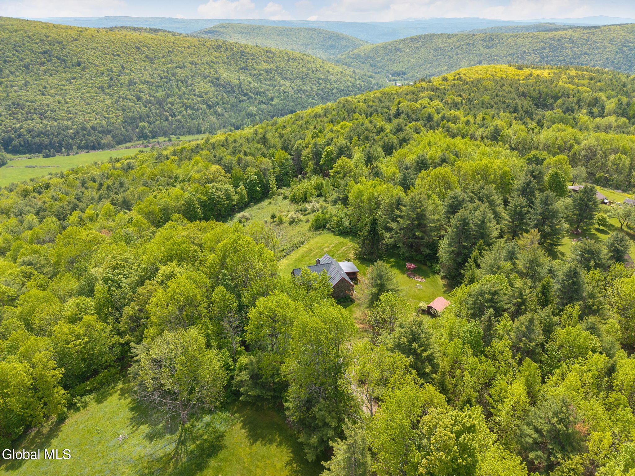 166 Lynx Drive West Fulton NY 12149