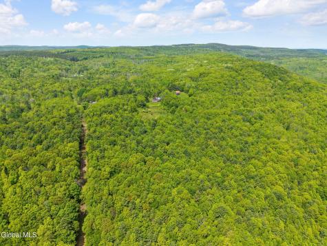 166 Lynx Drive West Fulton NY 12149