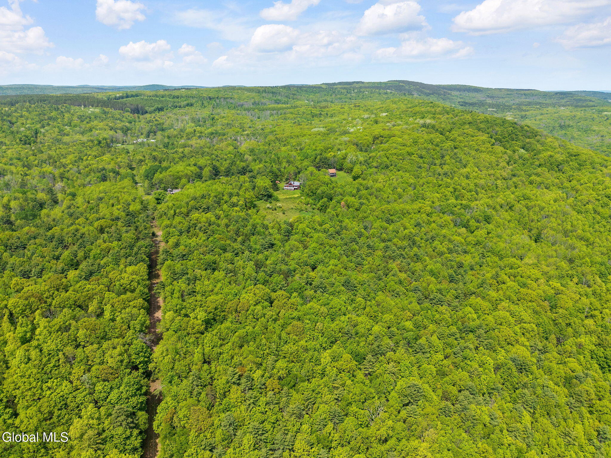 166 Lynx Drive West Fulton NY 12149