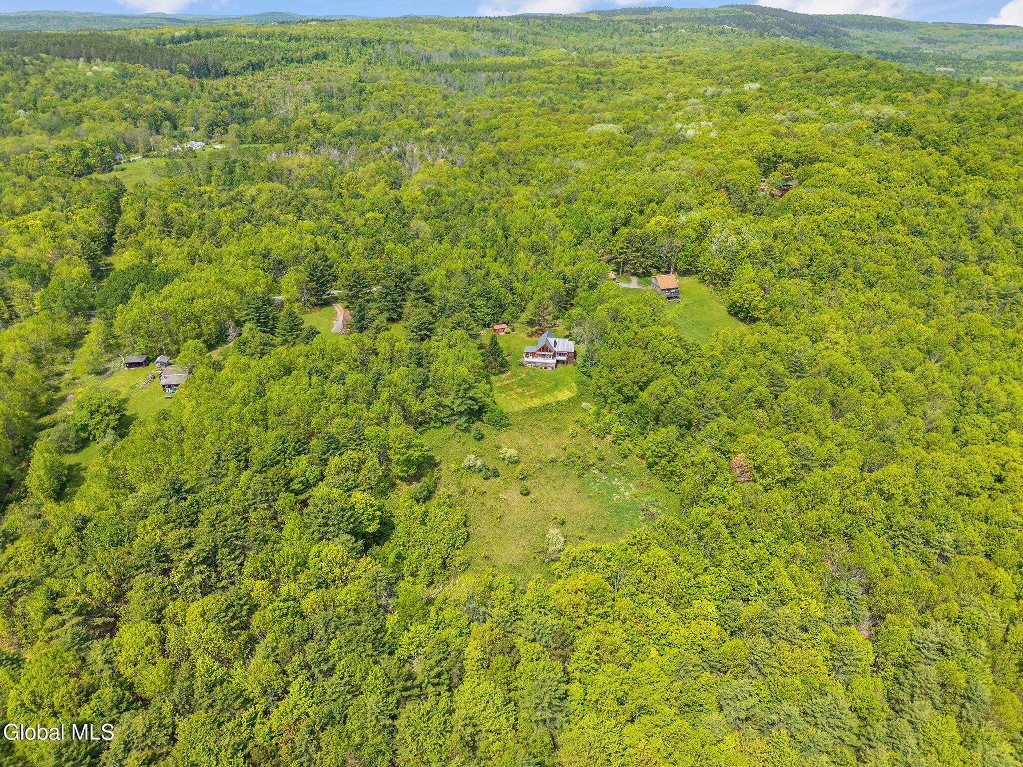 166 Lynx Drive West Fulton NY 12149