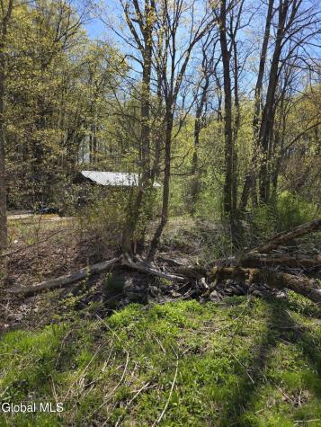 105 Hartman Road Pattersonville NY 12010
