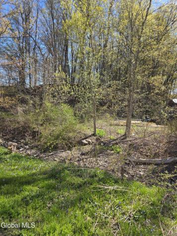 105 Hartman Road Pattersonville NY 12010