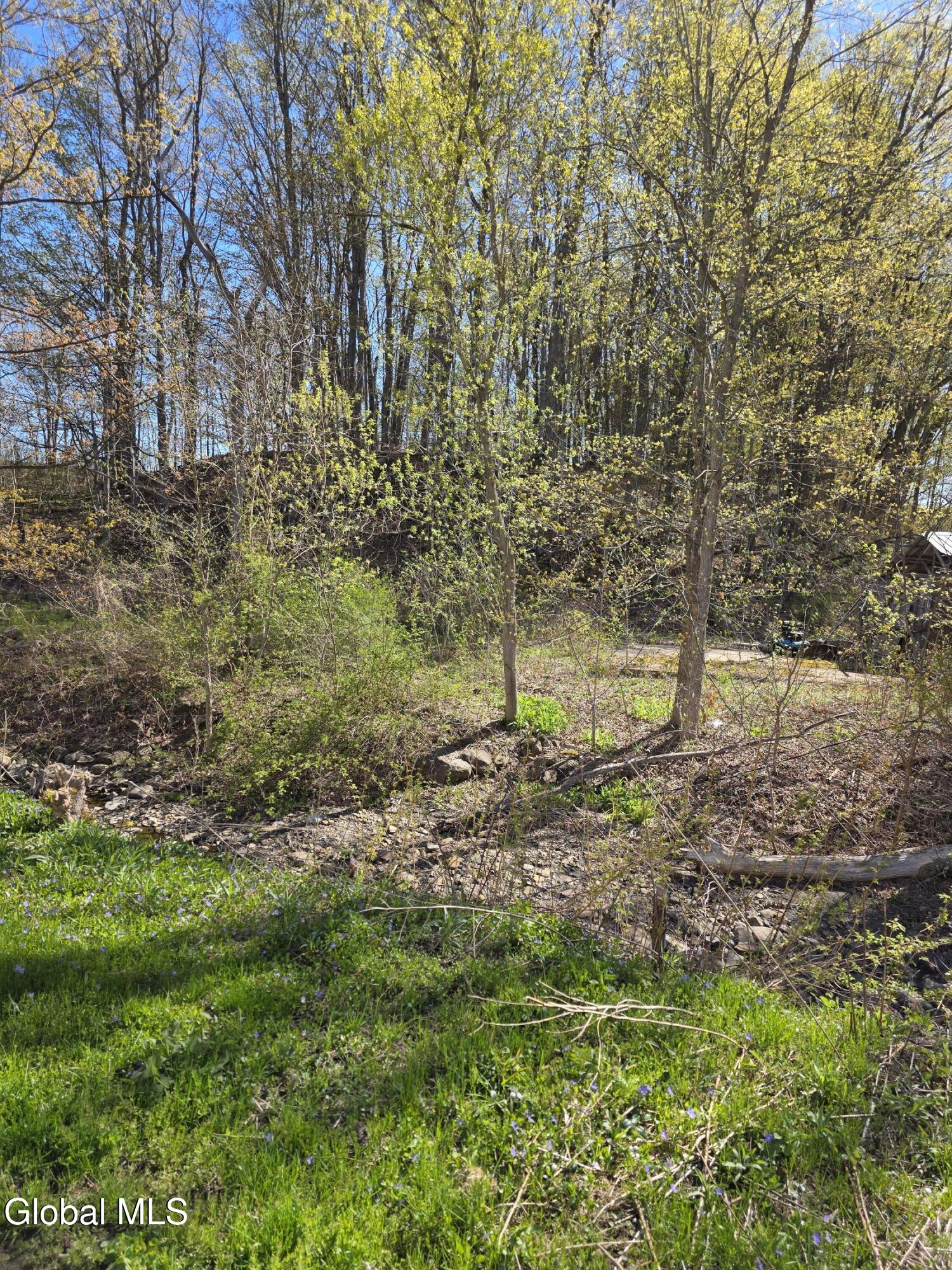 105 Hartman Road Pattersonville NY 12010