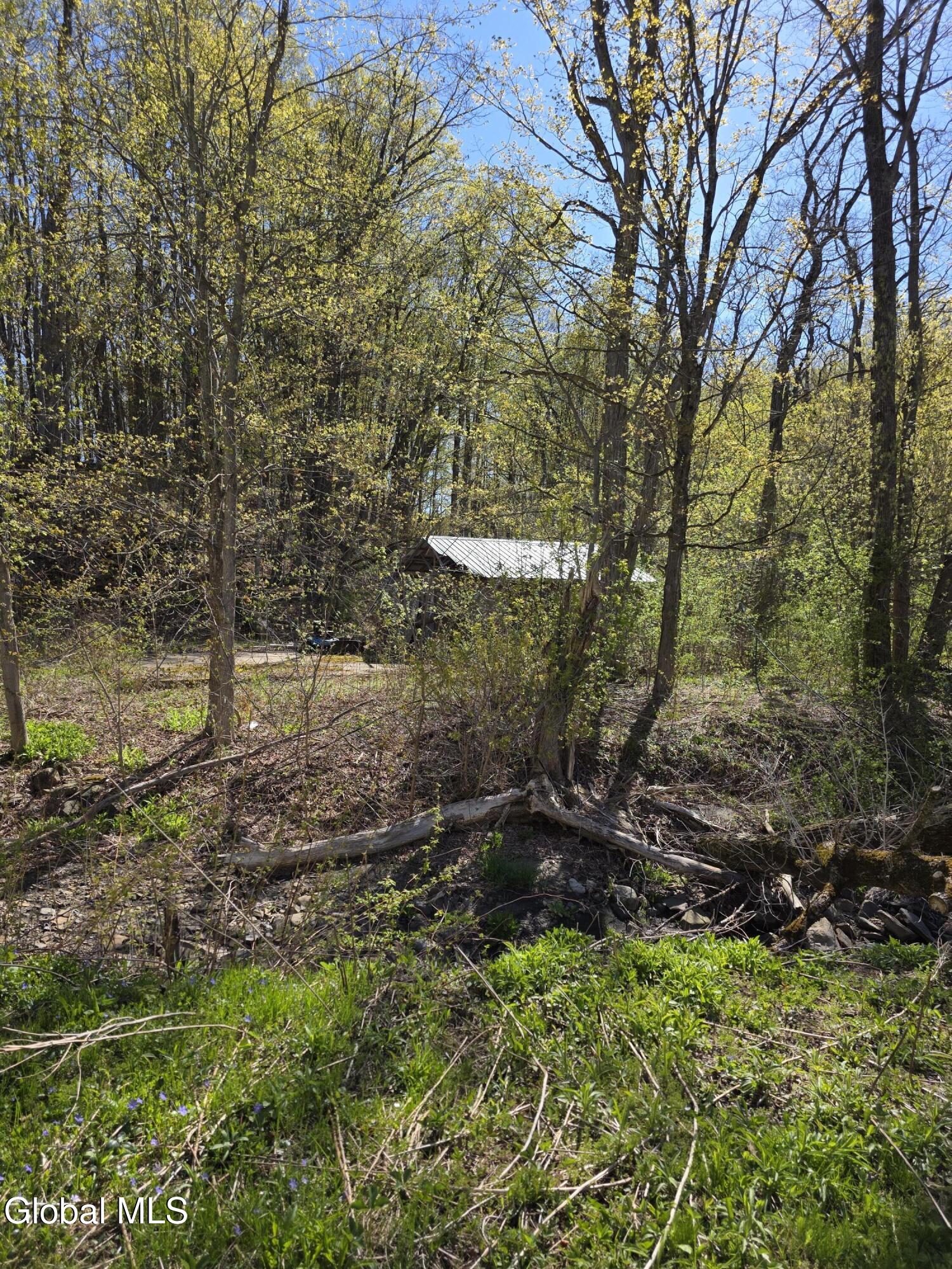 105 Hartman Road Pattersonville NY 12010