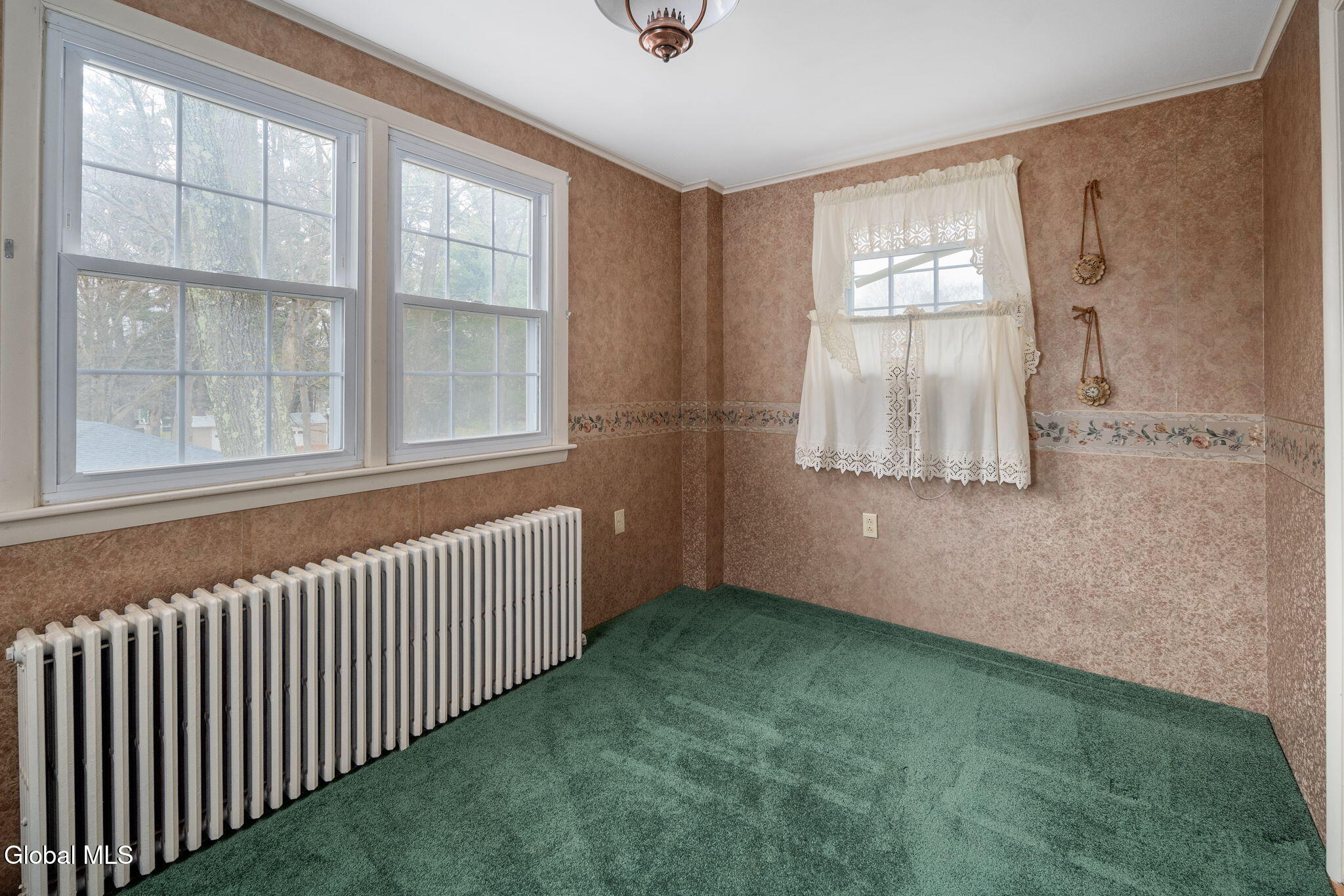 36 Elsmere Avenue Delmar NY 12054
