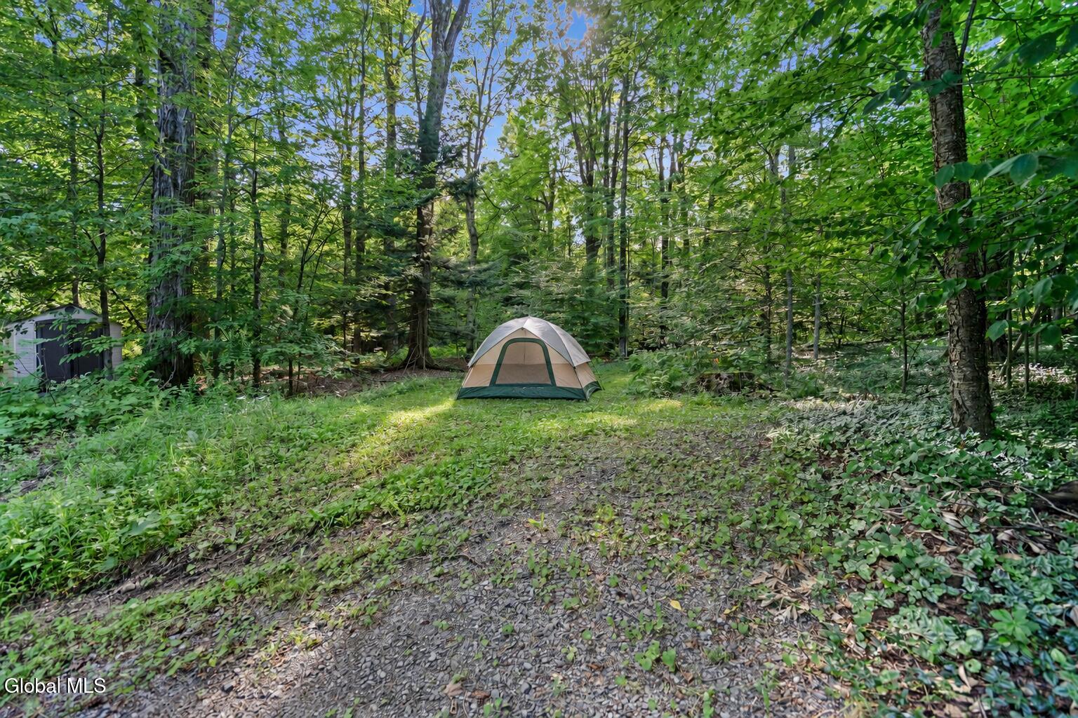 2560 May Hagaman NY 12086