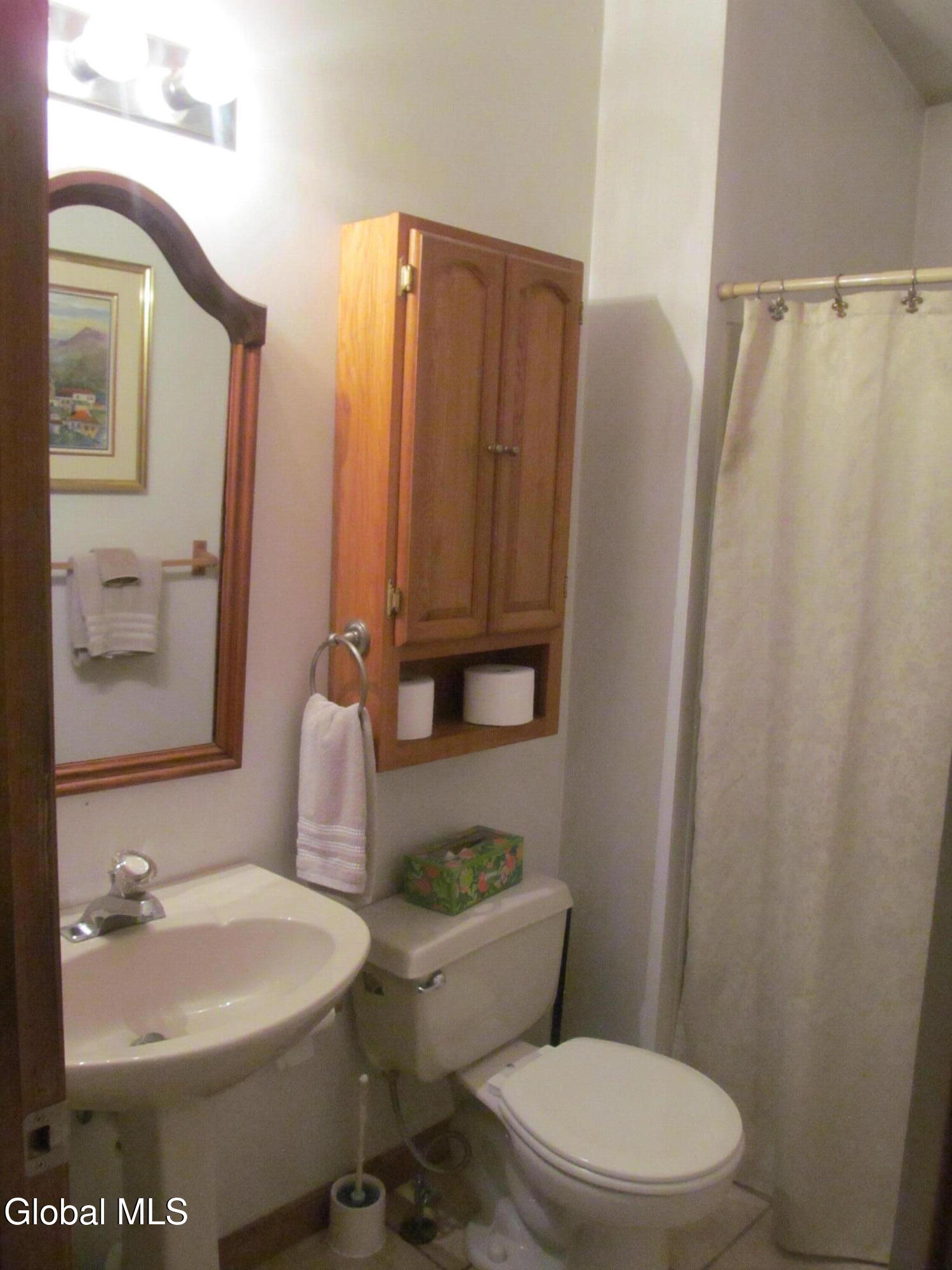 9 Pineridge Court Greenfield Center NY 12833
