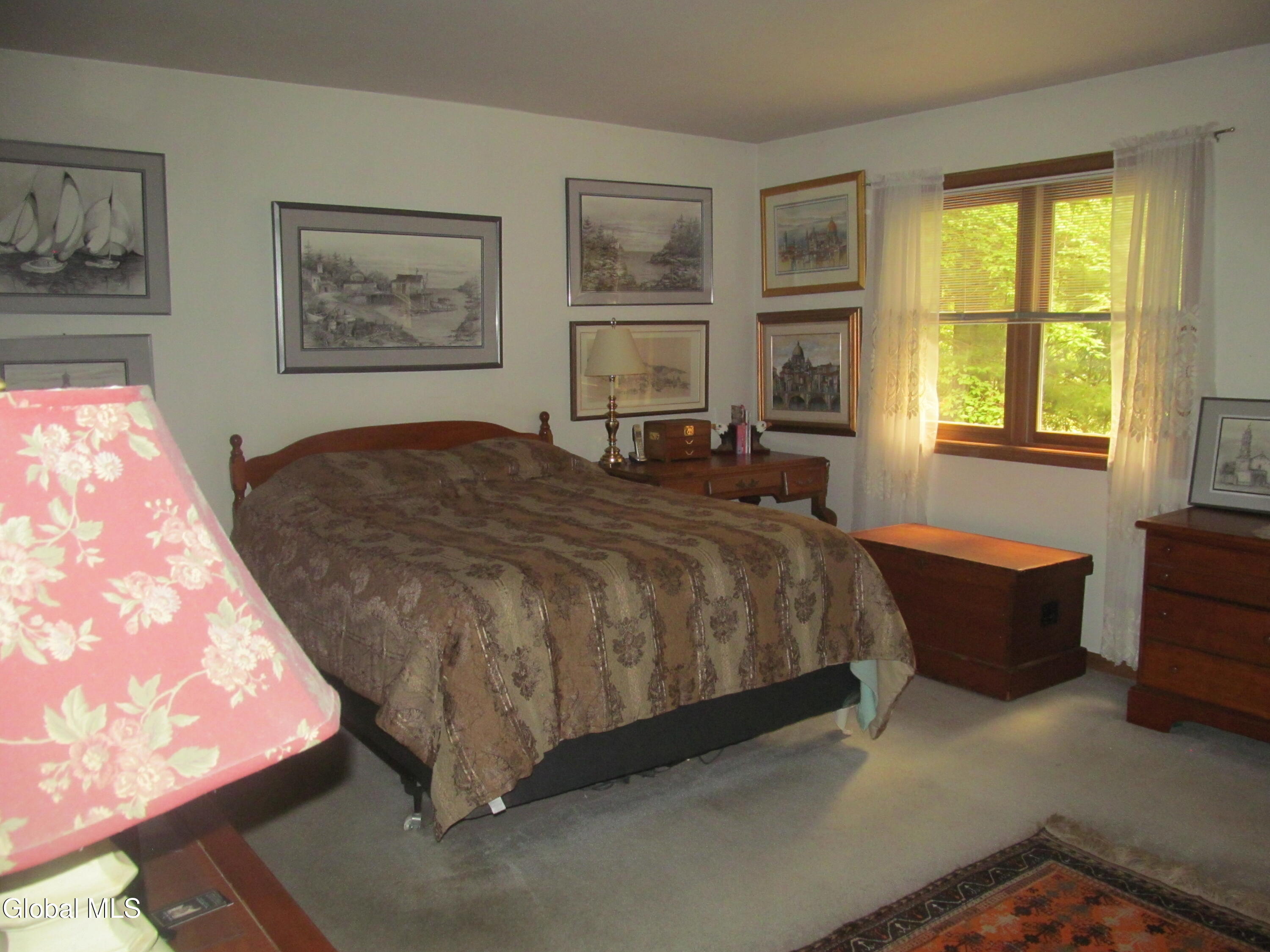 9 Pineridge Court Greenfield Center NY 12833