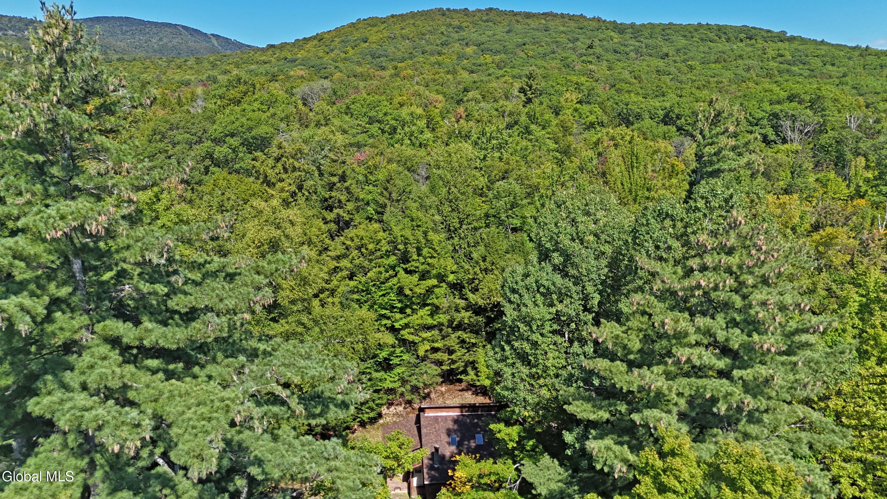 76 Iroquois Trail North Creek NY 12853