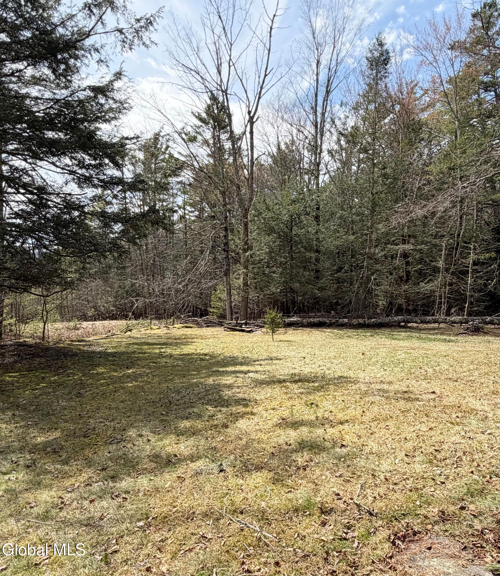 149 Peck Road Windham NY 12496