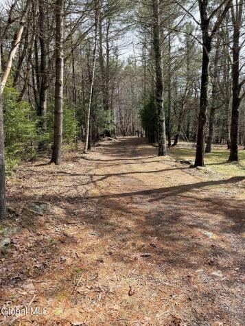 149 Peck Road Windham NY 12496