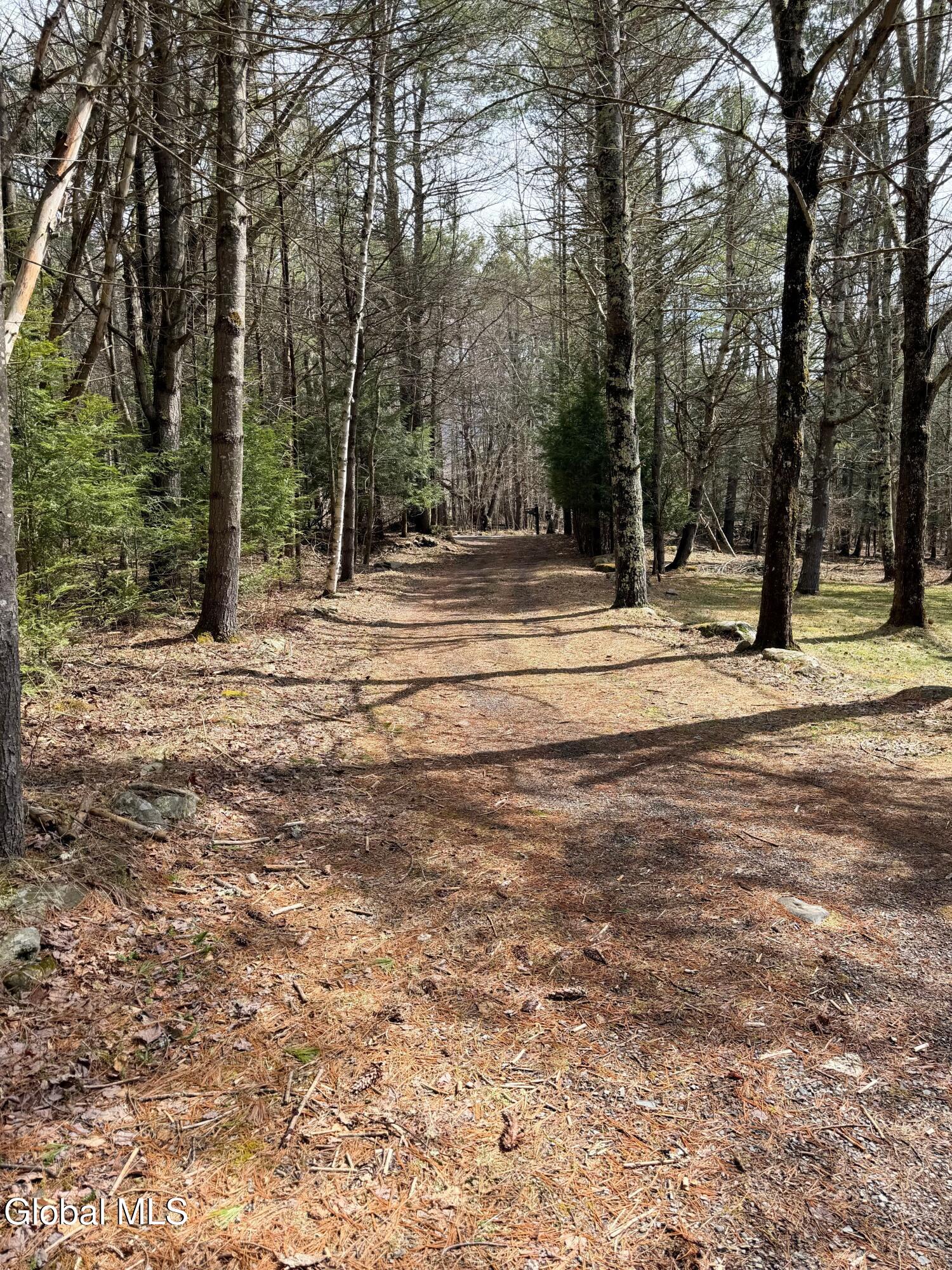 149 Peck Road Windham NY 12496