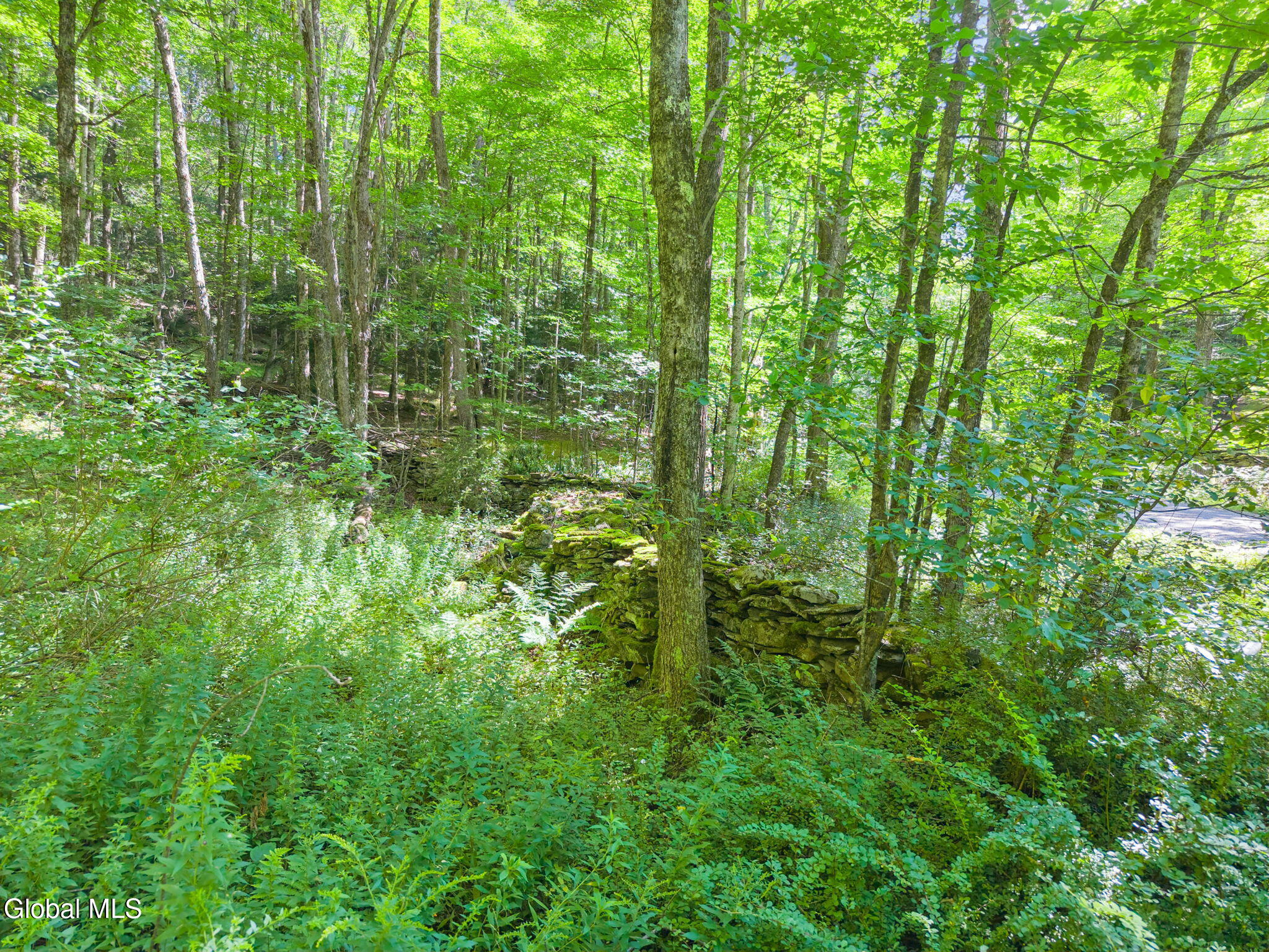201 Tuttle Road Jefferson NY 12093