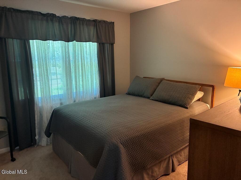 11 Elaine Court Latham NY 12110