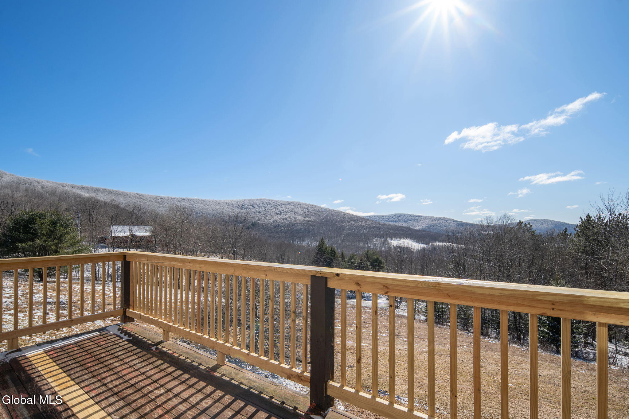 1563 Tower Mountain Road Stamford NY 12167