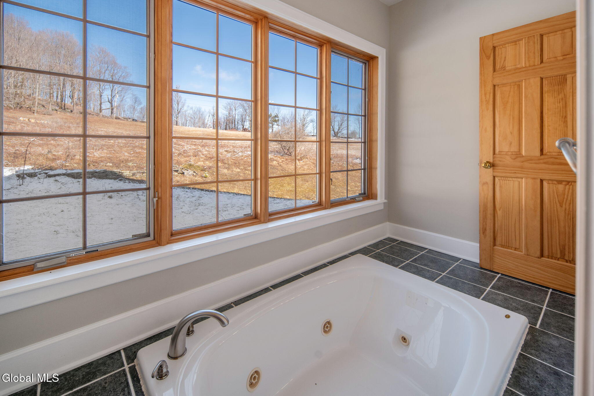 1563 Tower Mountain Road Stamford NY 12167