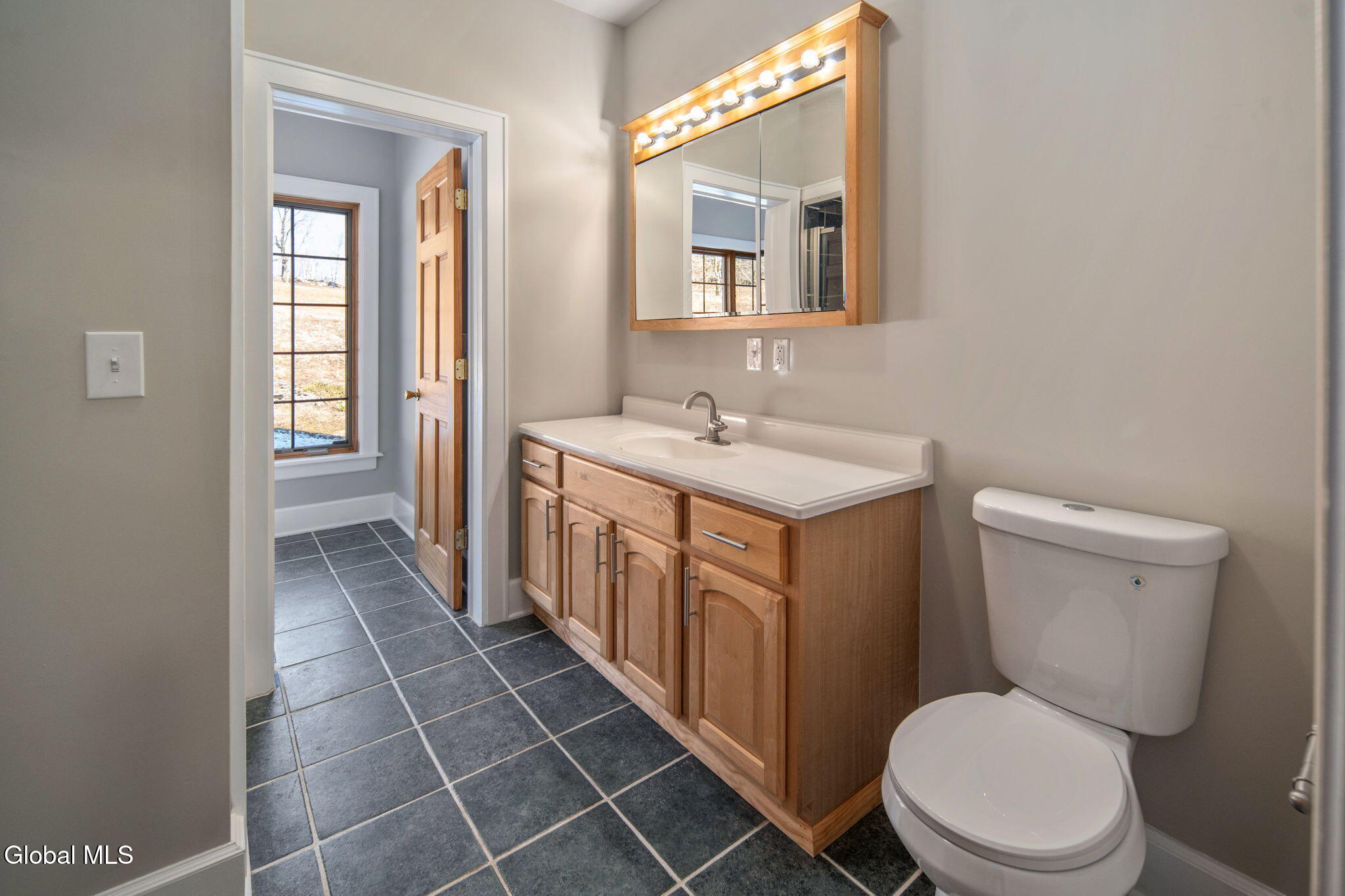 1563 Tower Mountain Road Stamford NY 12167