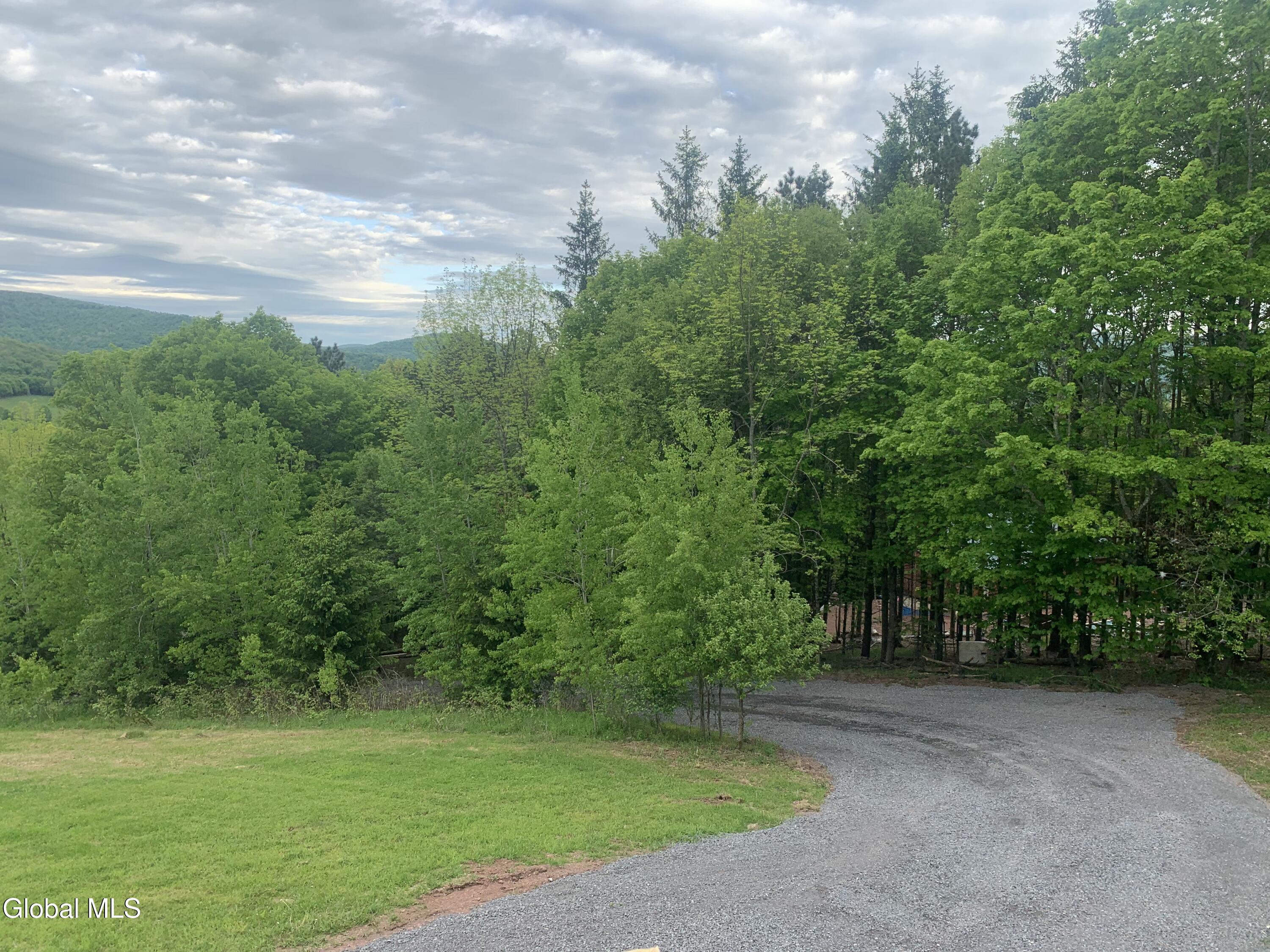 1563 Tower Mountain Road Stamford NY 12167