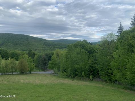 1563 Tower Mountain Road Stamford NY 12167