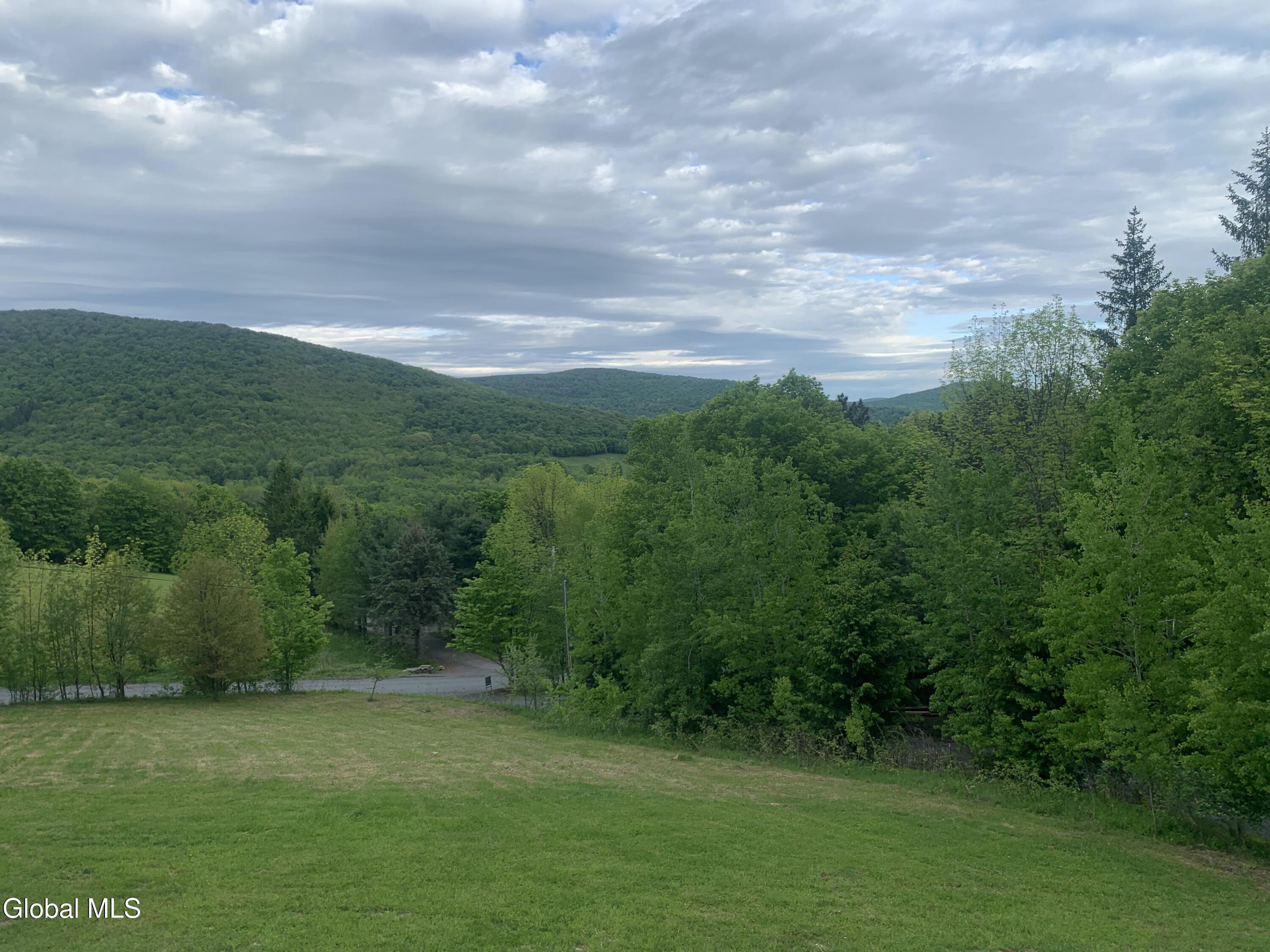 1563 Tower Mountain Road Stamford NY 12167