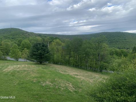 1563 Tower Mountain Road Stamford NY 12167