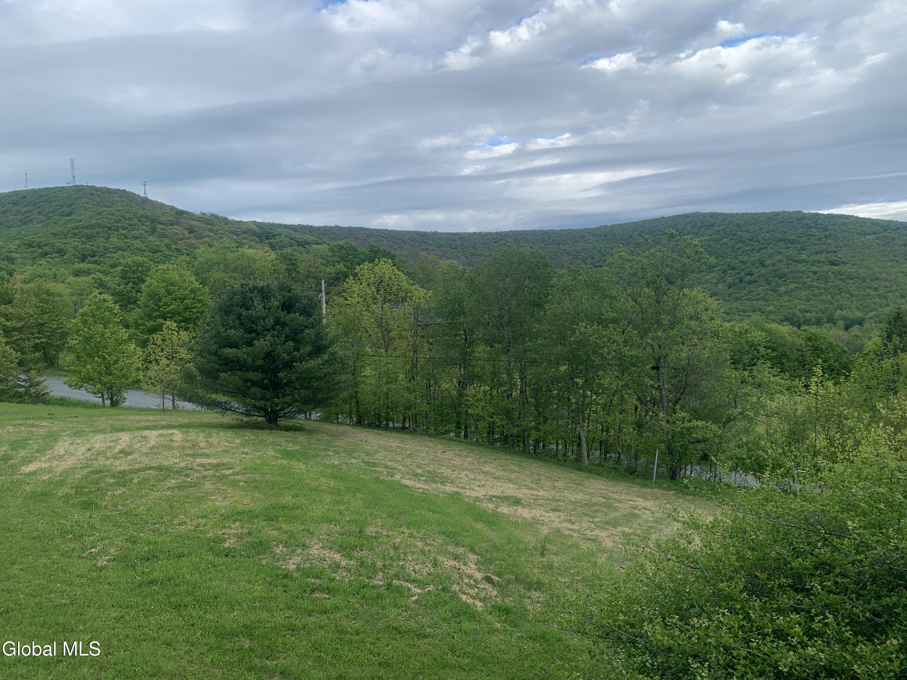 1563 Tower Mountain Road Stamford NY 12167
