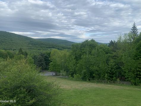 1563 Tower Mountain Road Stamford NY 12167