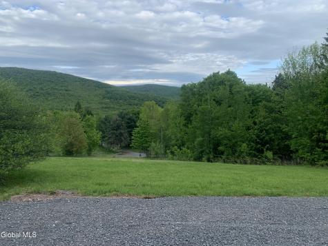 1563 Tower Mountain Road Stamford NY 12167