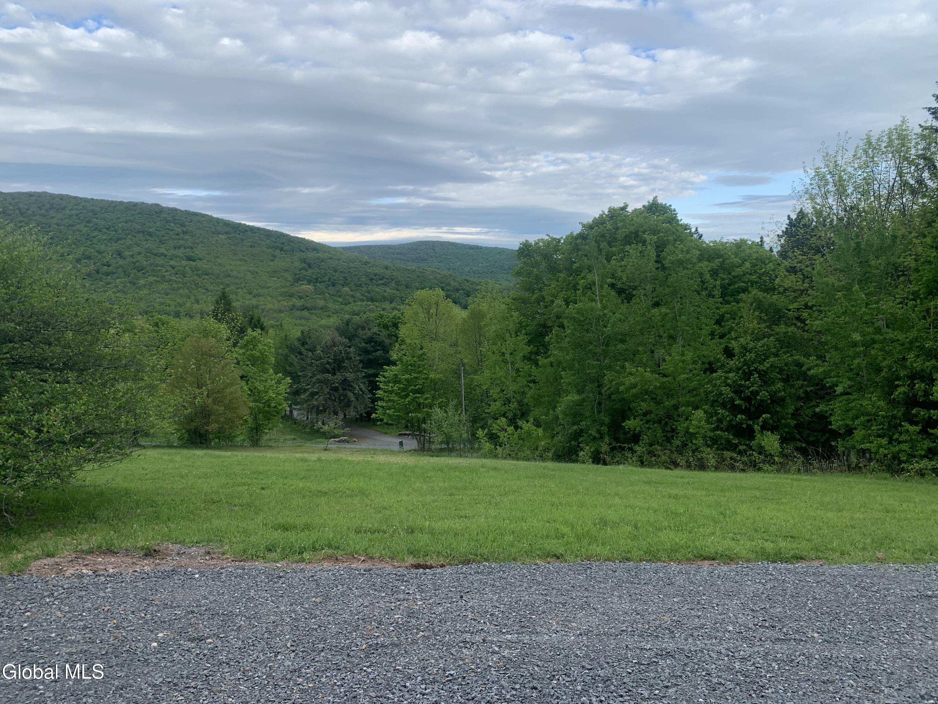 1563 Tower Mountain Road Stamford NY 12167