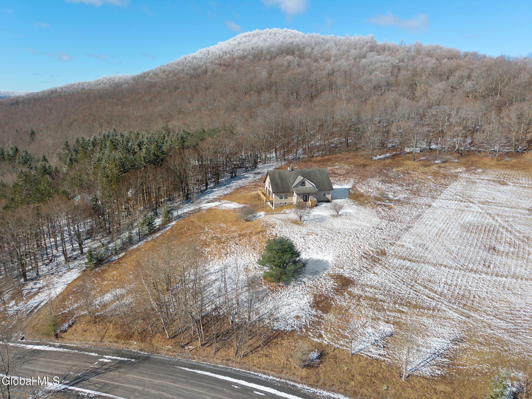 1563 Tower Mountain Road Stamford NY 12167